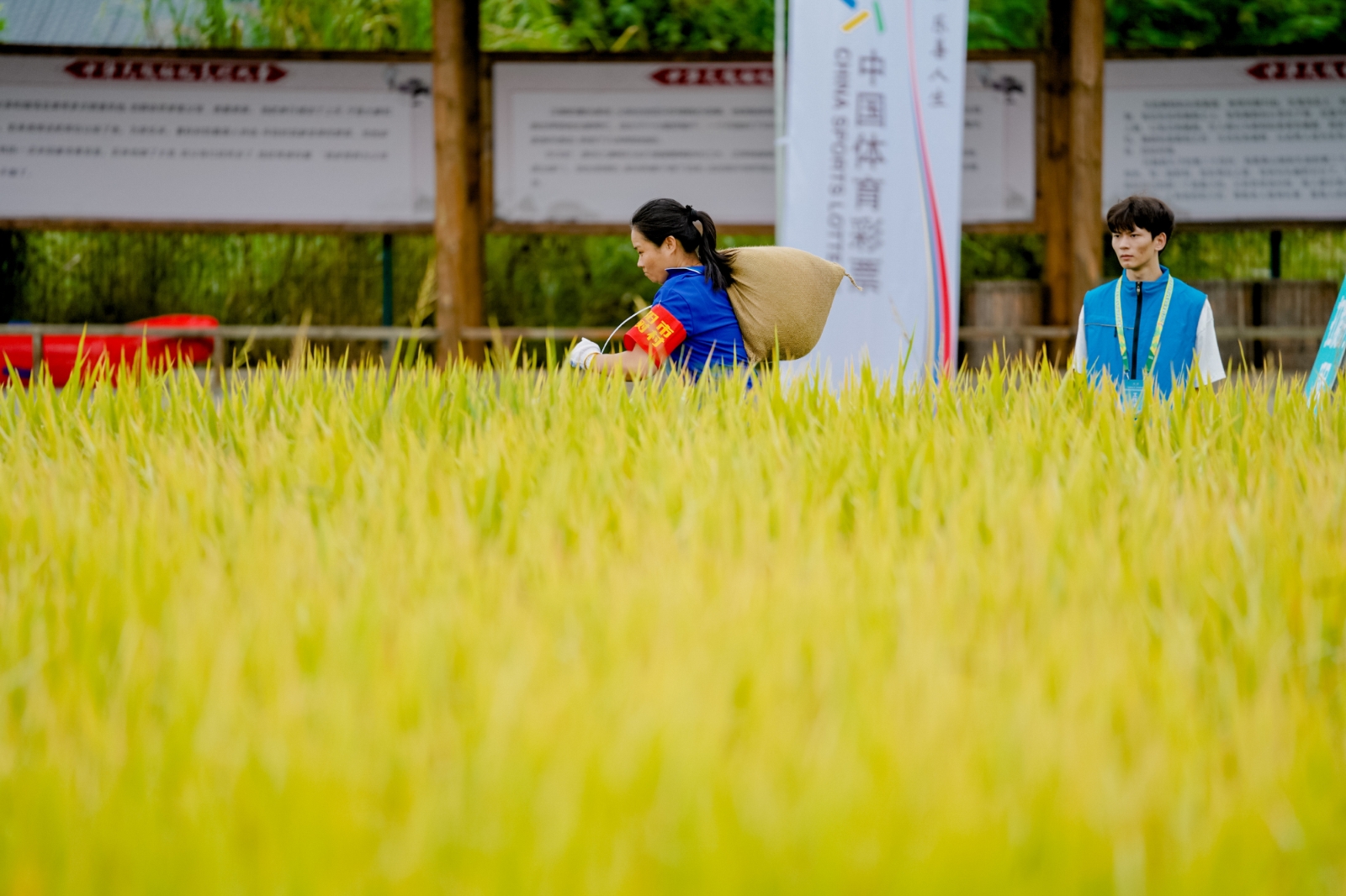 湖南博森體育管理有限公司